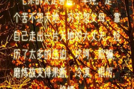 通过命理揭示你命里带来的幸福与挑战