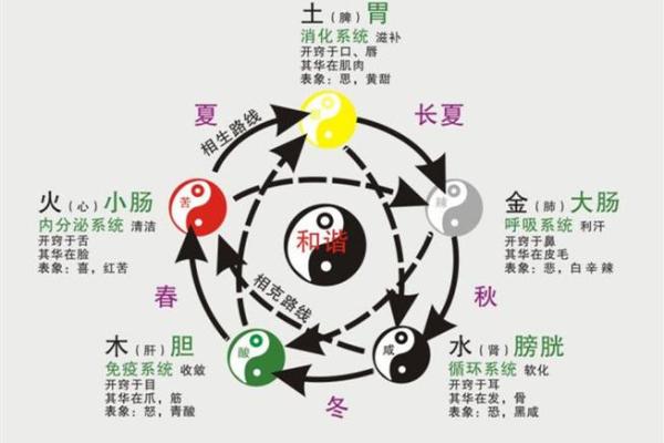 命局五行缺失浅析：寻根溯源，化解生命障碍之道