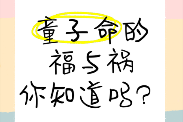 探索命占真童子命的奥秘与人生智慧