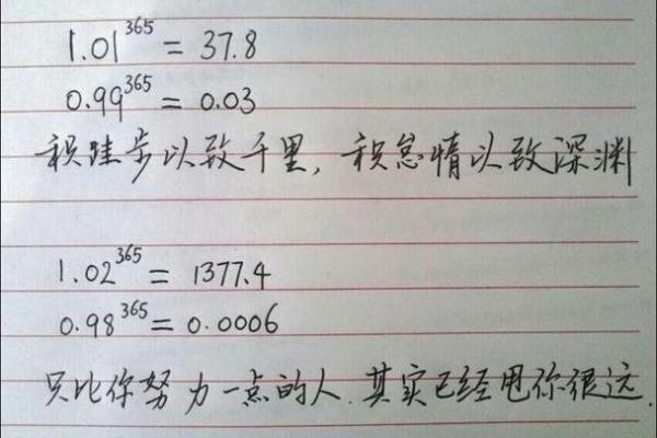 命里带青马：探索其背后的意义与人生启示