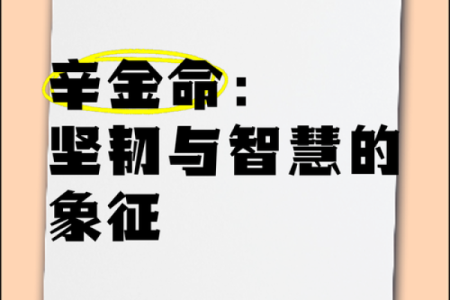 探秘女命戊辰：命理中的坚韧与智慧之美