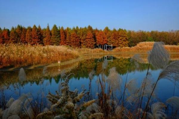 命局水源涵养：深度解析水在命局中的重要性与作用