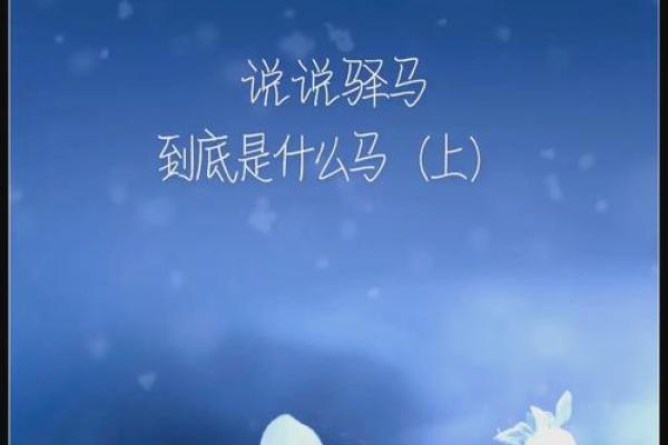 驿马女命：时运的奔波与机会的把握