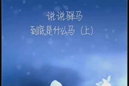驿马女命：时运的奔波与机会的把握