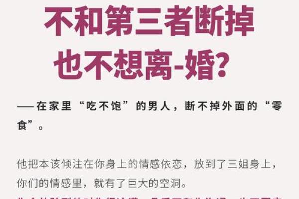 为何许多男人选择无妻之命？深入探讨背后的屈从与选择