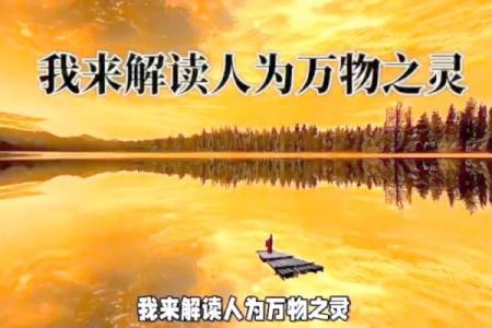 命局印星受损的深层解读与应对之策