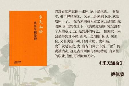 巽命格的深意：解读命运与人生的关系