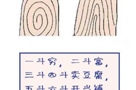 探秘男人簸箕命：命理中的独特象征与人生启示