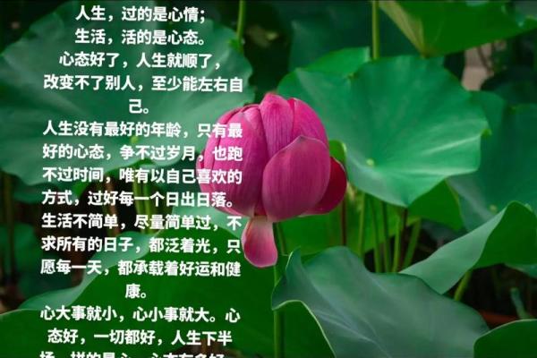 命好不如心态好，心态决定人生的精彩与幸福！