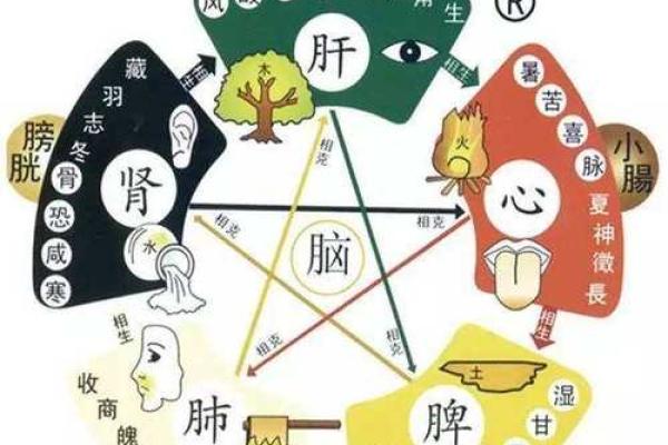 五行命理与中医：探寻你的健康密码