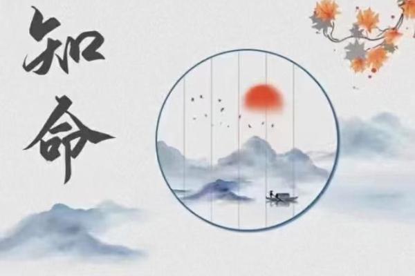 命局解析：内外冲突的深层含义与应对策略