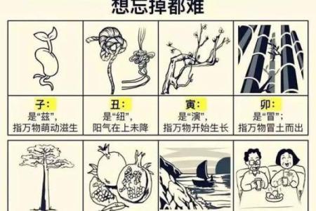 探秘命理中的“木”：读懂木命人的性格与命运轨迹