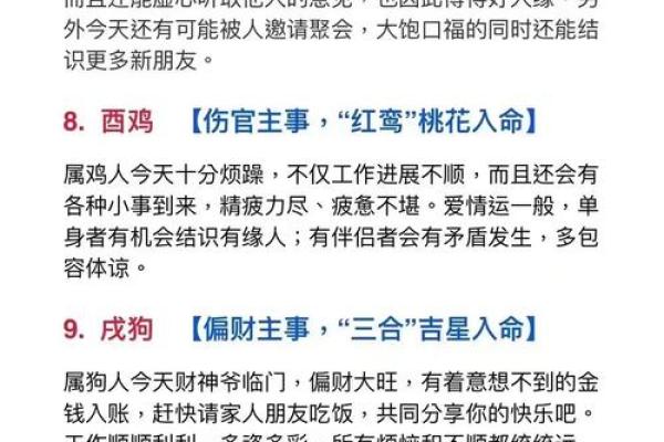 命好又有钱的属相揭秘，开启财富与运势的大门！