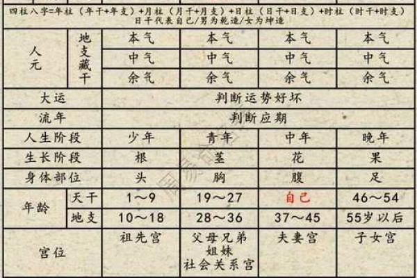 命局时空：探寻人生轨迹中的奥秘与哲学