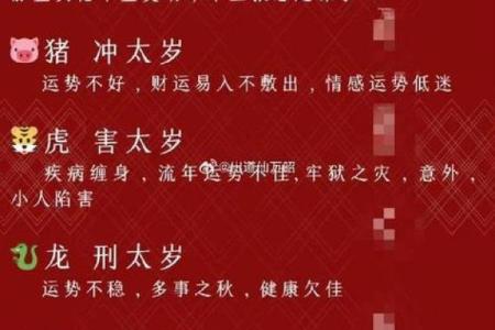 正月出生的属猪人：命格特点与人生运势的全解析