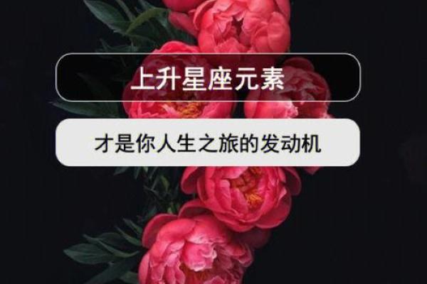 探秘霹雳火城头土命：命理与人生的深刻启示