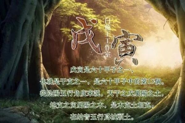 探秘霹雳火城头土命：命理与人生的深刻启示