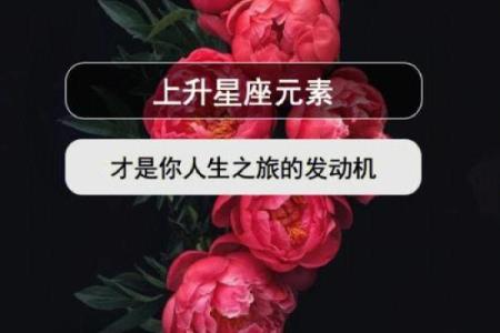 探秘霹雳火城头土命：命理与人生的深刻启示