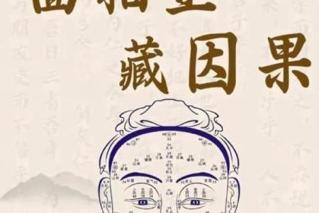 通过面相看命运：揭示你的性格与未来发展之路