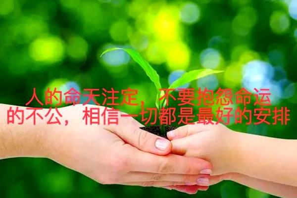 依据出生季节解读命运：你的人生潜力如何？
