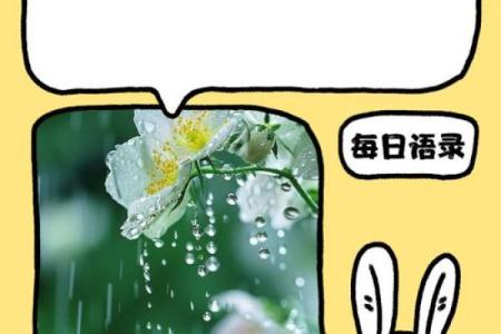 依据出生季节解读命运：你的人生潜力如何？