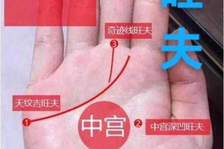 探秘桃花运：女人算命中命犯桃花的深层含义与应对之道
